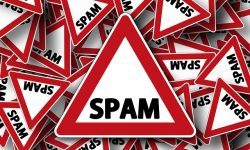 Scammers versus Spammers