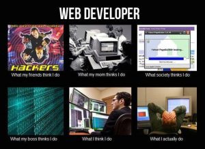 what web developers actually do
